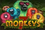 7-Monkeys.webp