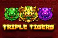 Triple-Tigers.webp